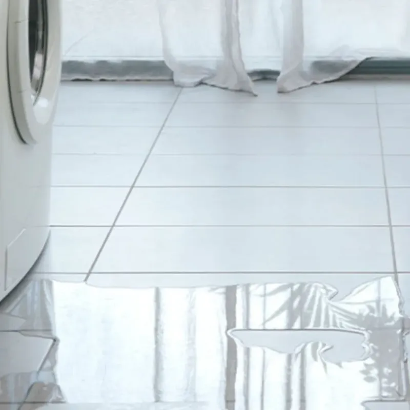 Appliance Leak Cleanup in Williston, SC