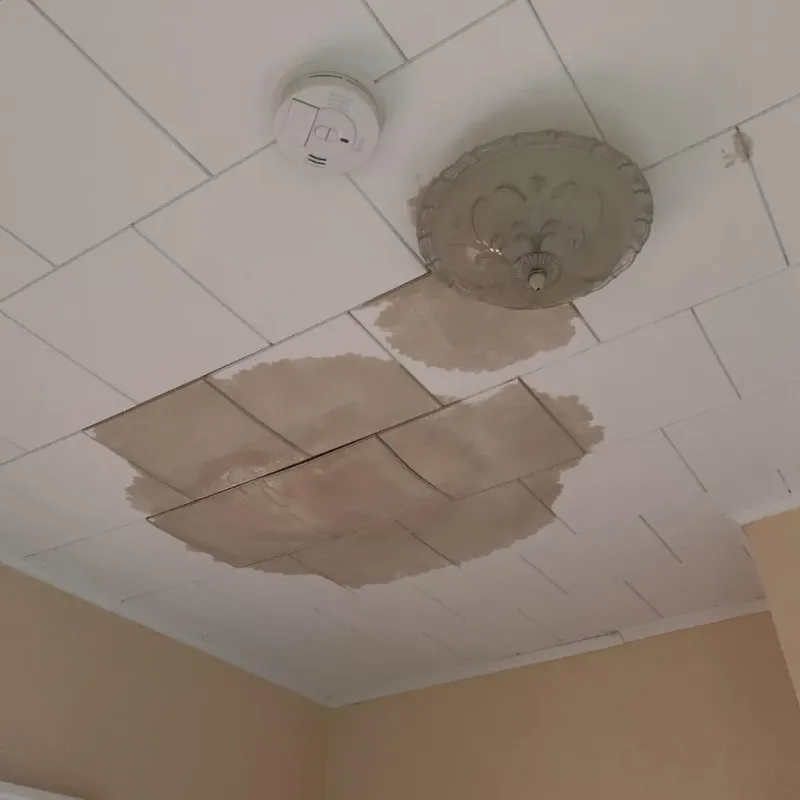 Ceiling Water Damage Repair in Williston, SC
